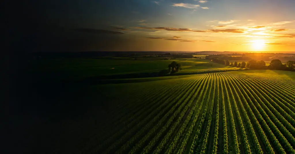 EPA Pesticide Submission Processing Timeline From Screening To Science Review - Image of a Fielded at dusk